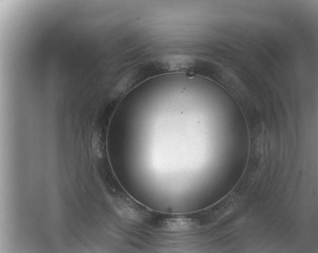 X0000062790316200512261602