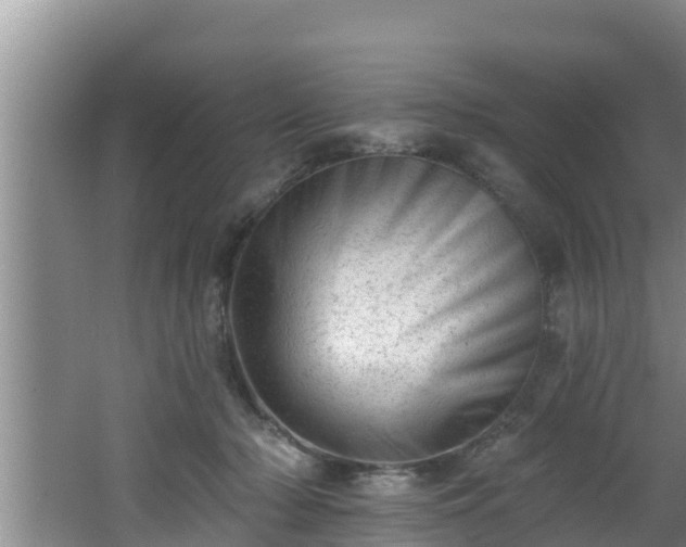 X0000062790318200512261602