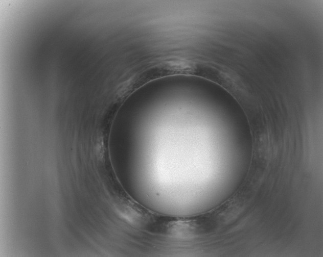 X0000062790320200512261602