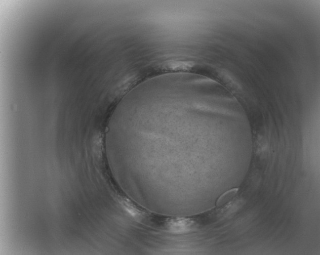 X0000062790321200512261602