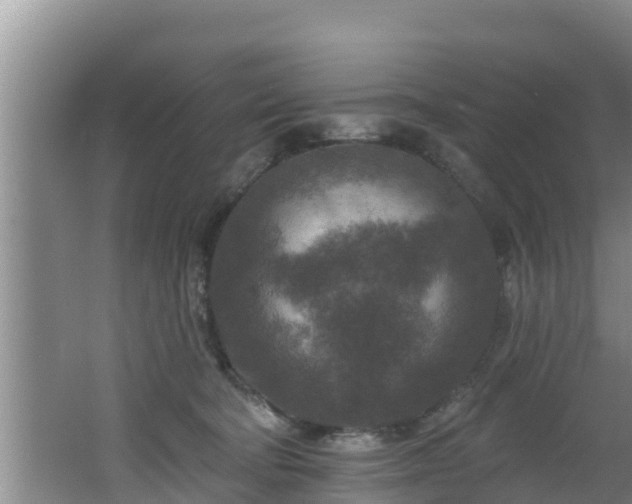 X0000062790322200512261602