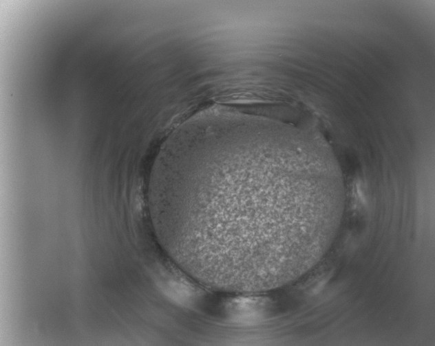 X0000062790323200512261602