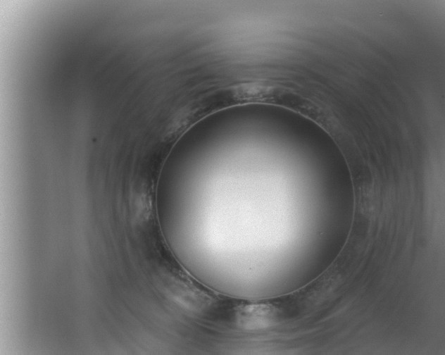 X0000062790324200512261602