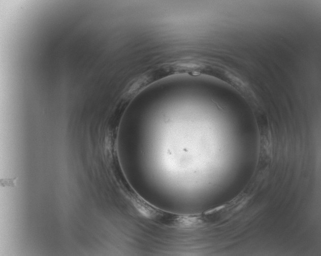 X0000062790333200512261602