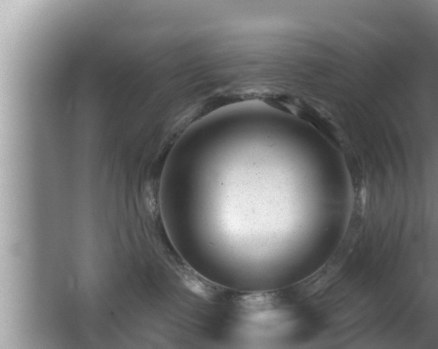 X0000062790335200512261602