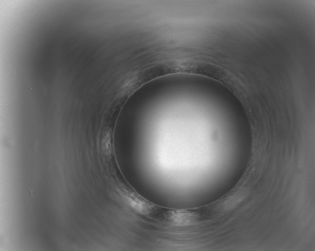 X0000062790336200512261602