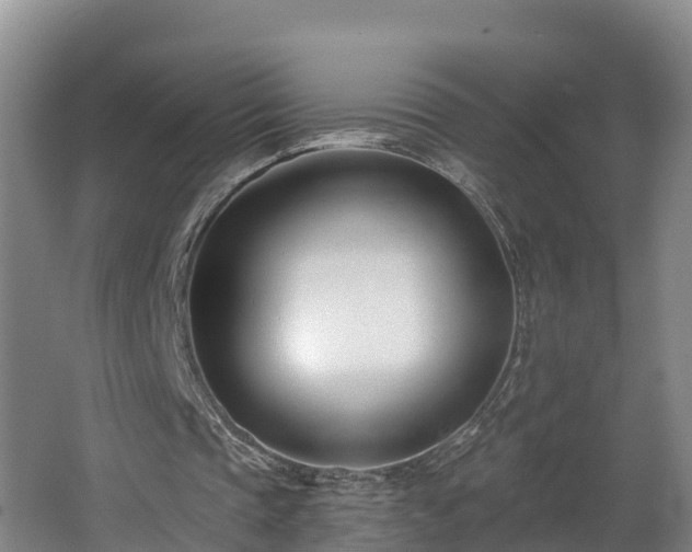 X0000062790337200512261601