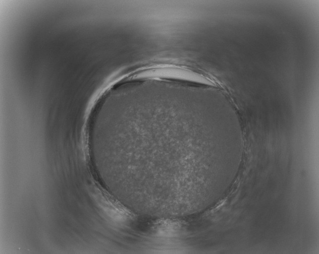 X0000062790343200512261601