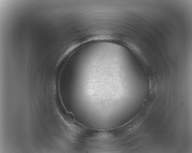 X0000062790348200512261601