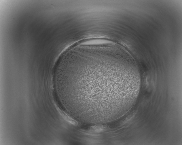 X0000062790351200512261601