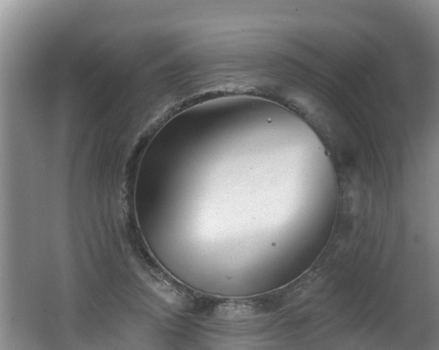 X0000062790354200512261601