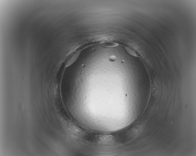 X0000062790355200512261601