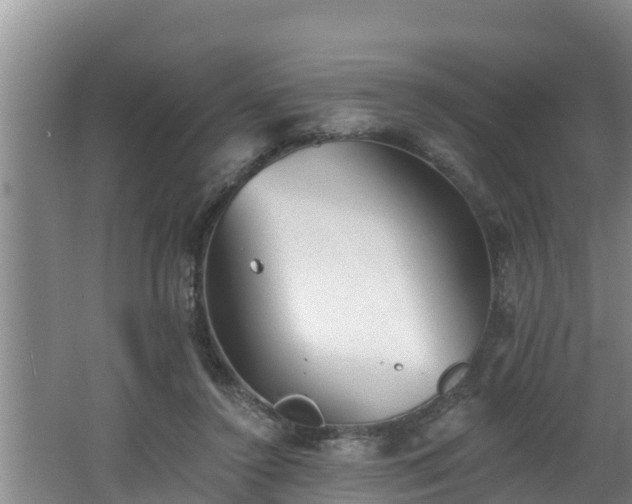 X0000062790356200512261601