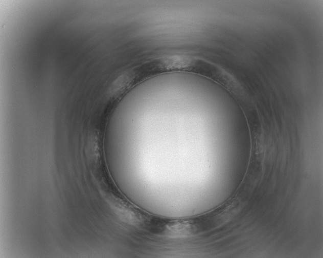 X0000062790362200512261601