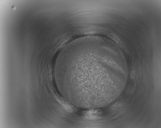 X0000062790366200512261601