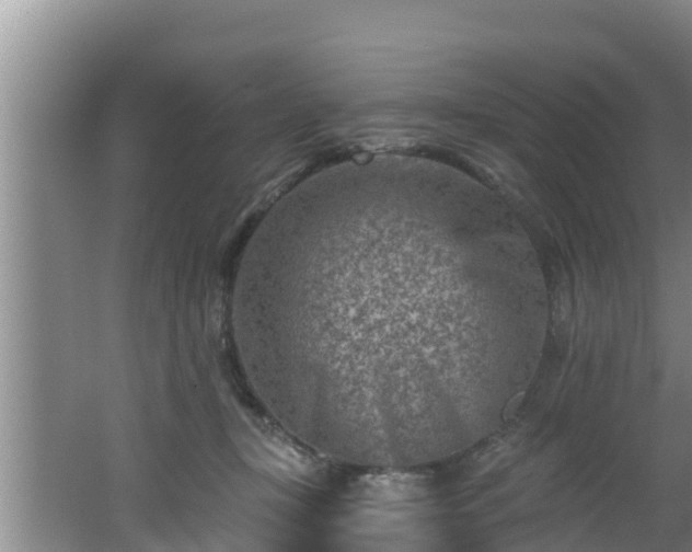 X0000062790367200512261601