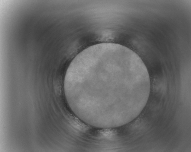 X0000062790370200512261602