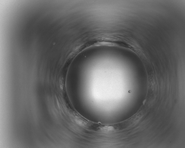 X0000062790374200512261602