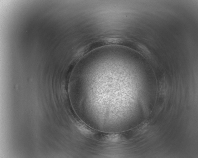 X0000062790377200512261602