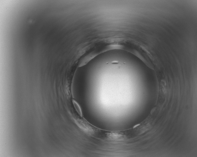 X0000062790380200512261602