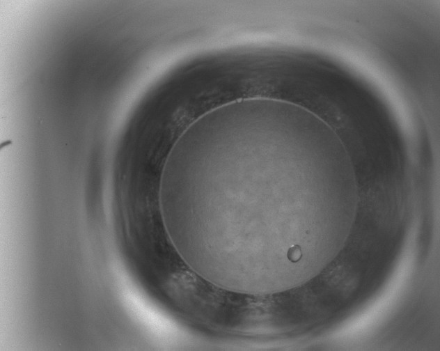 X0000062790382200512261602