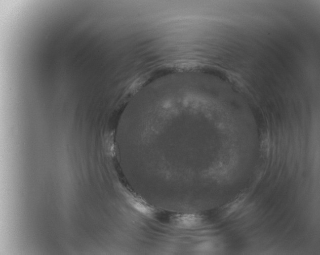 X0000062790383200512261602