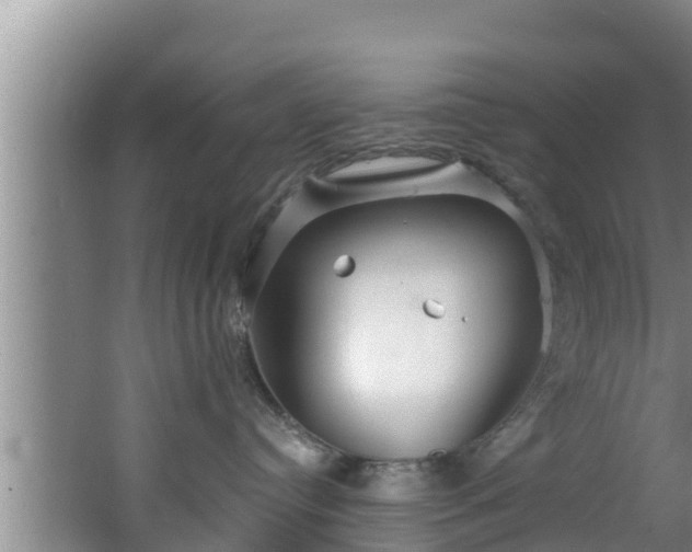 X0000062790384200512261602