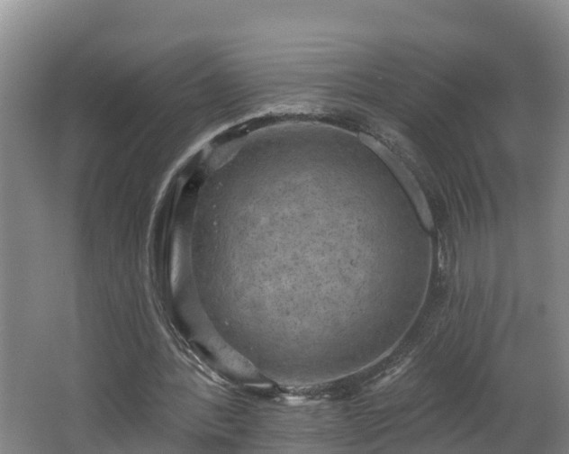 X0000062790388200512261601