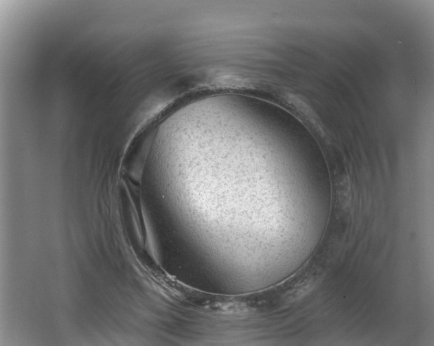 X0000062790395200512261601