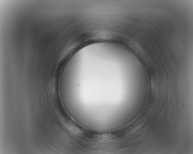 X0000062790396200512261601