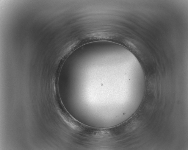 X0000062790398200512261601