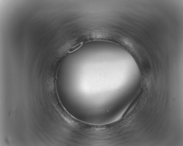 X0000062790401200512261601