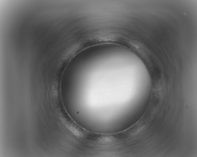 X0000062790402200512261601