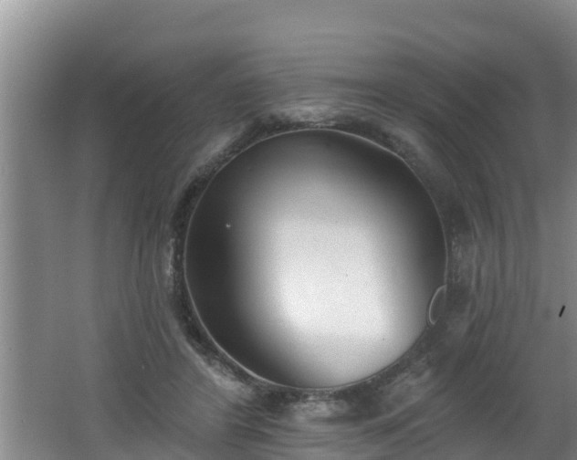 X0000062790404200512261601