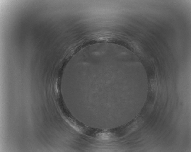 X0000062790408200512261601