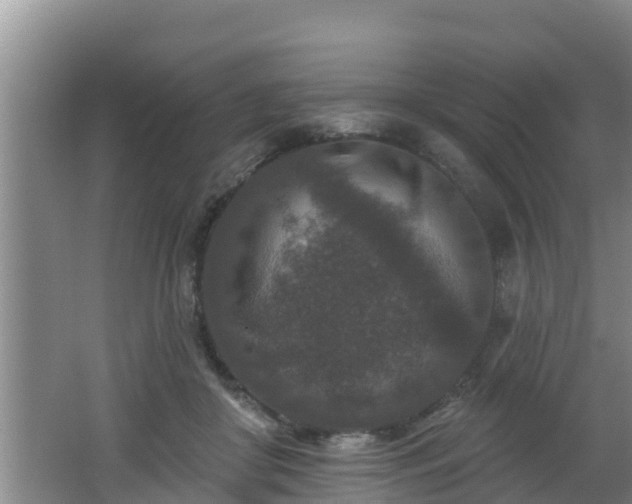 X0000062790410200512261600