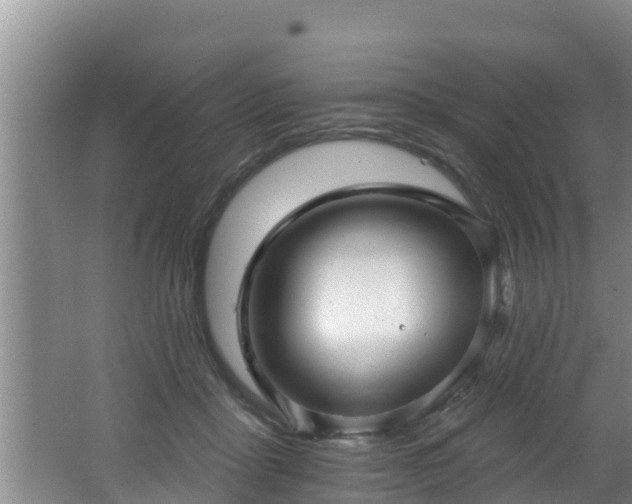 X0000062790411200512261600