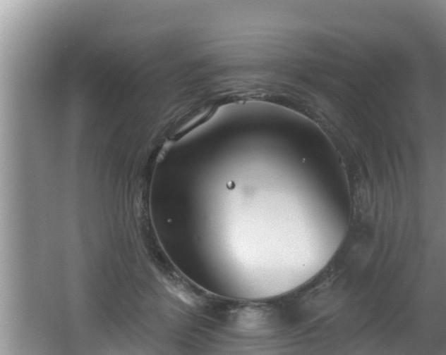 X0000062790412200512261600