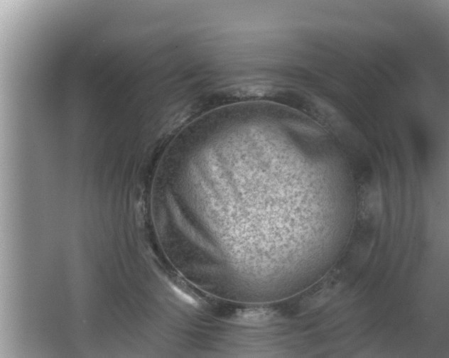 X0000062790414200512261600