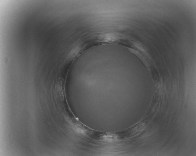 X0000062790415200512261600