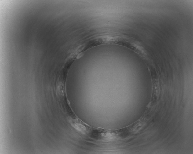 X0000062790419200512261600