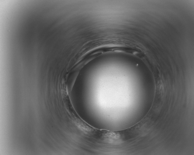 X0000062790421200512261600