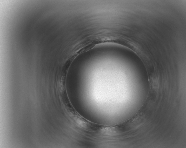 X0000062790422200512261600