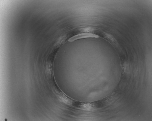 X0000062790423200512261600