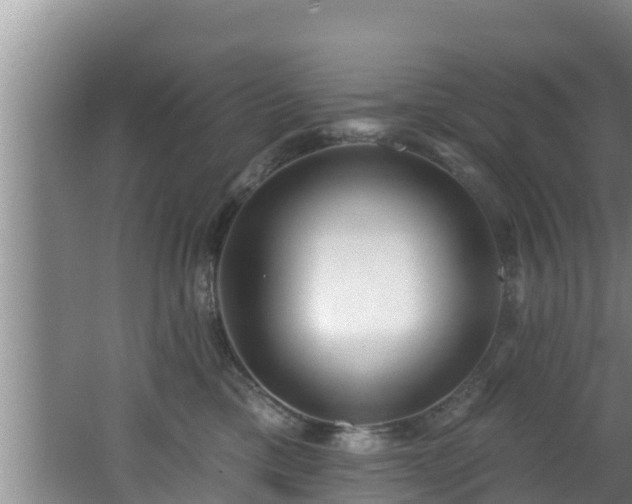 X0000062790425200512261600