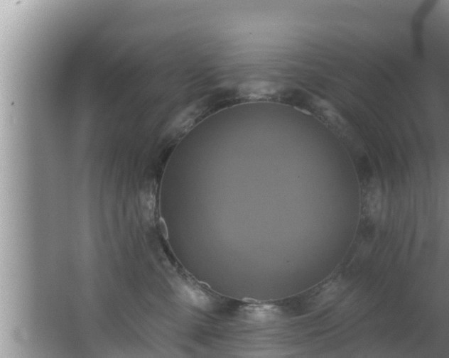 X0000062790427200512261600