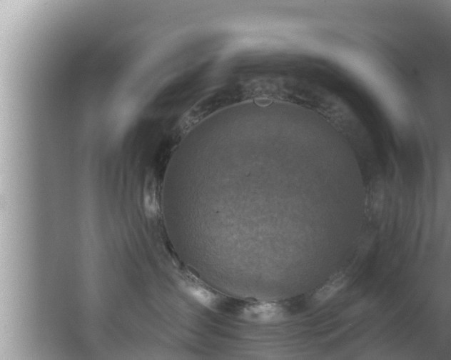 X0000062790431200512261600