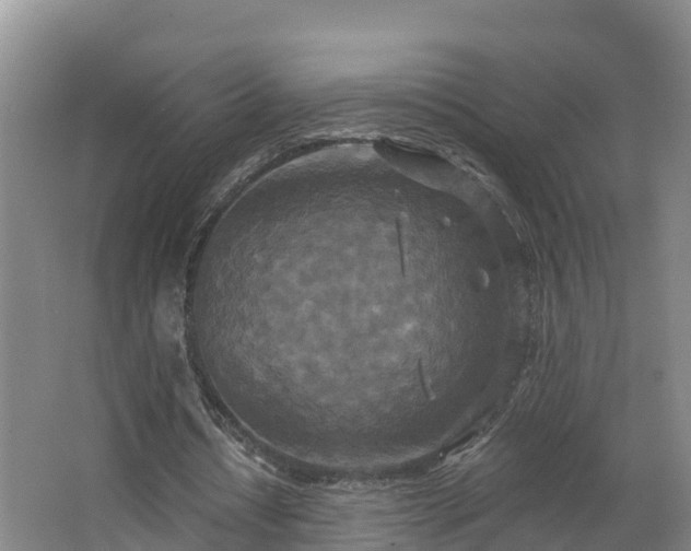 X0000062790434200512261559