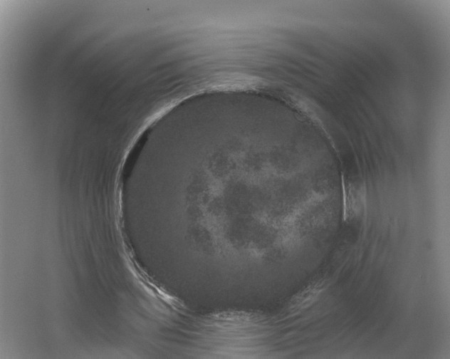 X0000062790435200512261559