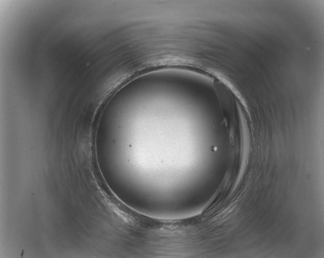 X0000062790437200512261559